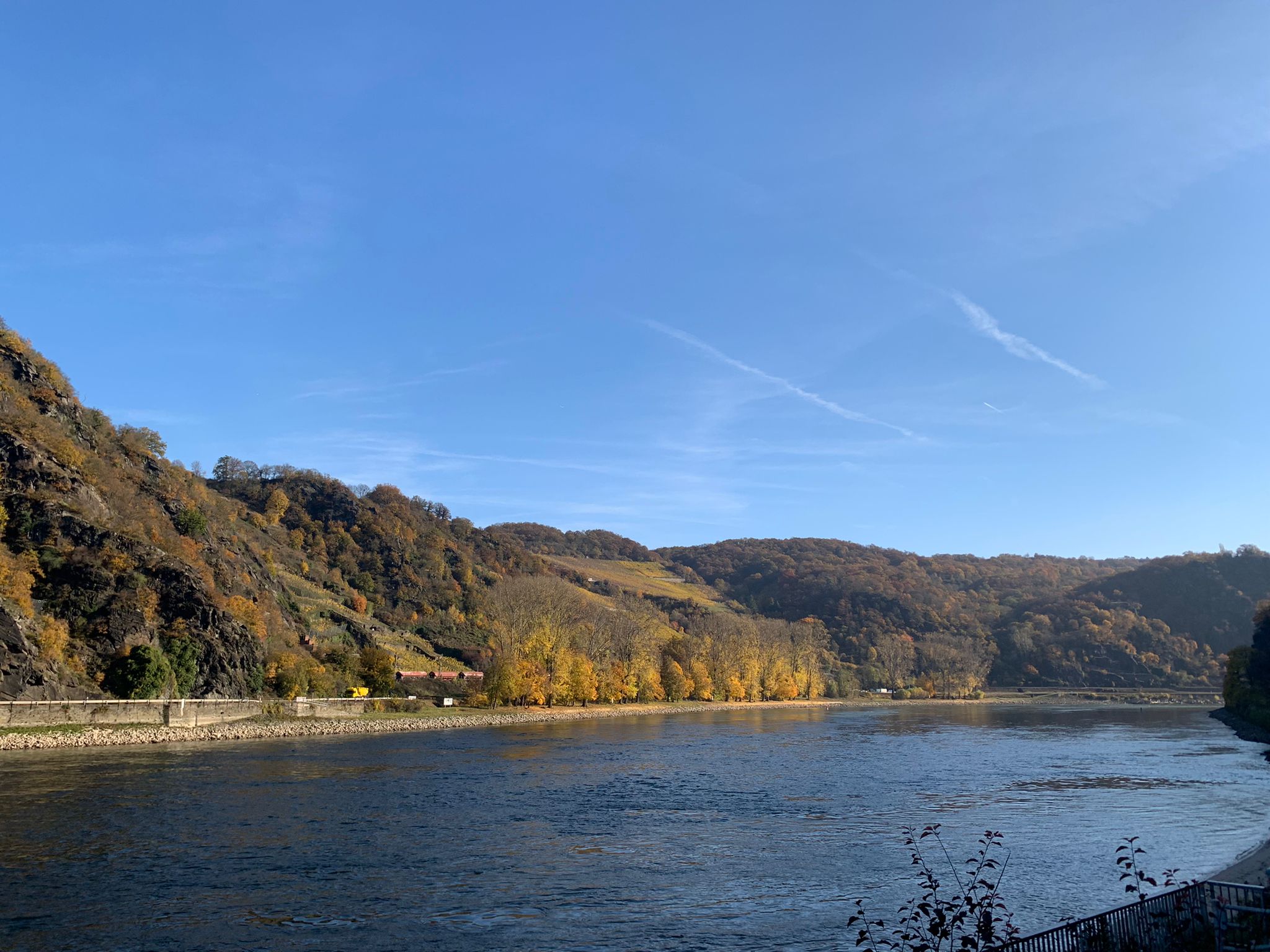 Indian Summer am Rhein